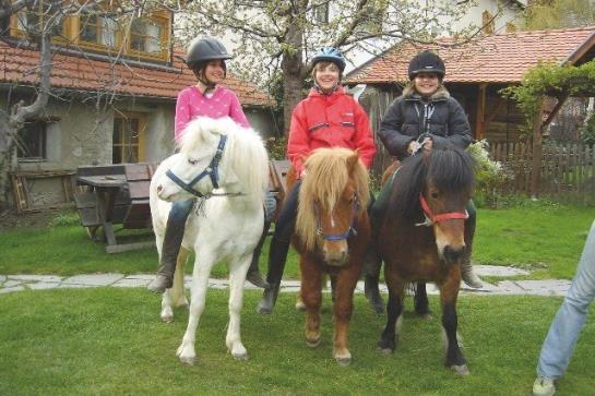 Bauernhof Bio-reiterhof  | Silandro | Bolzano | Italia 9