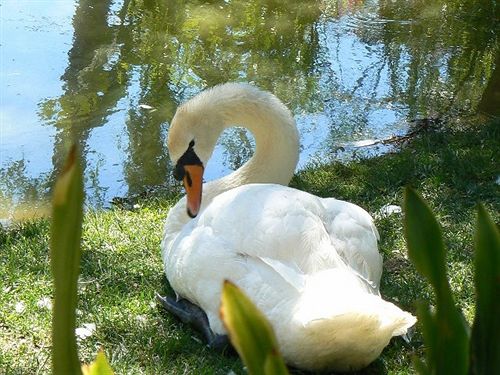 Hotel Mediterraneo  | Santa Maria Navarrese | Cerdeña | Italia 16