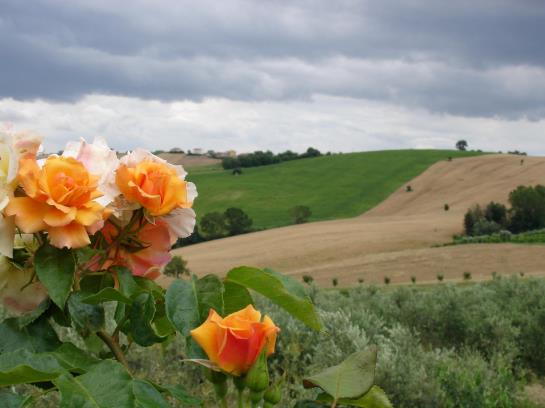 Hotel Al Crepuscolo  | Recanati | Macerata | Italy 5