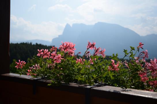 Hotel Lengsteinerhof  | Renon | Bolzano | Italia 1