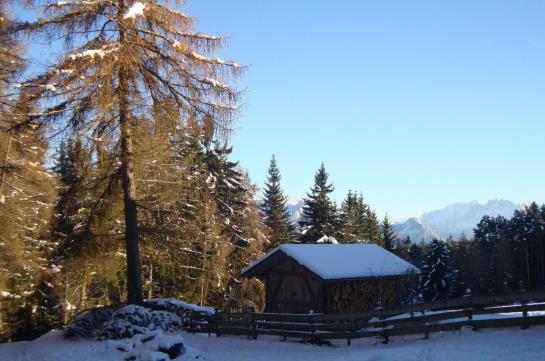 Hotel Lengsteinerhof  | Renon | Bolzano | Italia 7