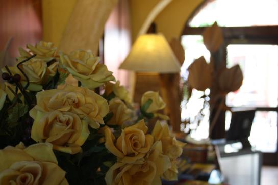 Hotel Segattini  | Riva del Garda | Trento | Italia 3