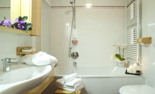 Hotel Ladinia  | Pozza di Fassa | Trento | Italia 1