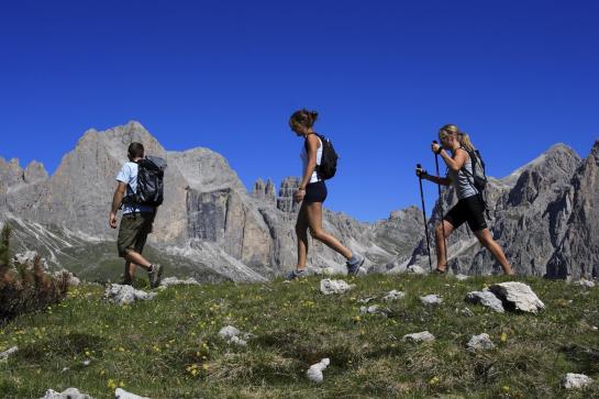 Hotel Ladinia  | Pozza di Fassa | Trento | Italia 6