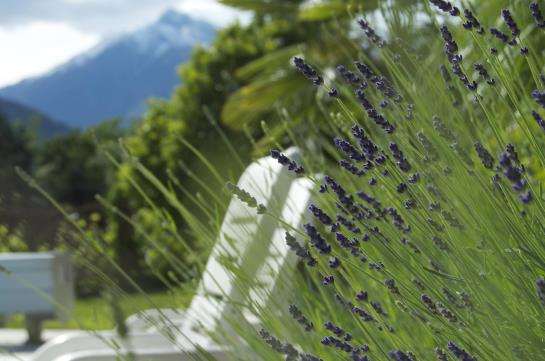 Hotel Schönbrunn  | Merano | Bolzano | Italia 3