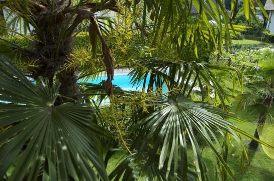 Hotel Schönbrunn  | Merano | Bolzano | Italia 4