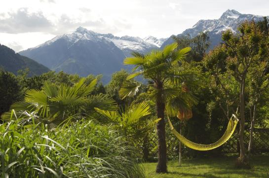 Hotel Schönbrunn  | Merano | Bolzano | Italia 5