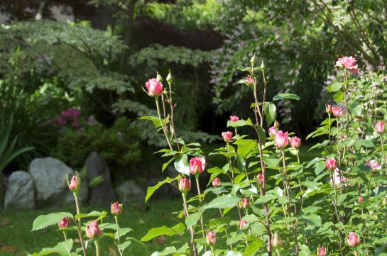 Hotel Schönbrunn  | Merano | Bolzano | Italia 7