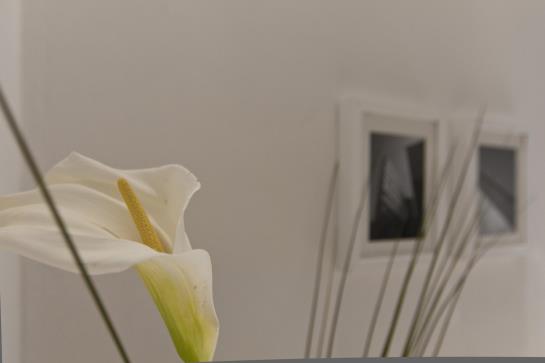 Suitime  | Milano | Milano | Italia 5