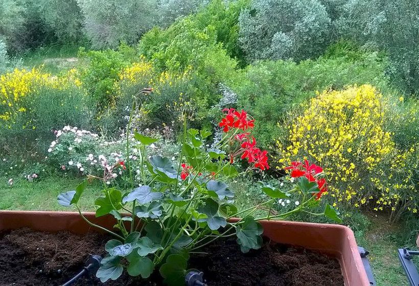 Hotel Il Melograno  | Montemerano | Grosseto | Italy 1