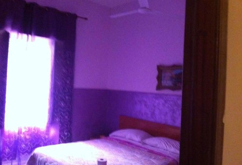 Hotel Viola  | Napoli | Napoli | Italia 13