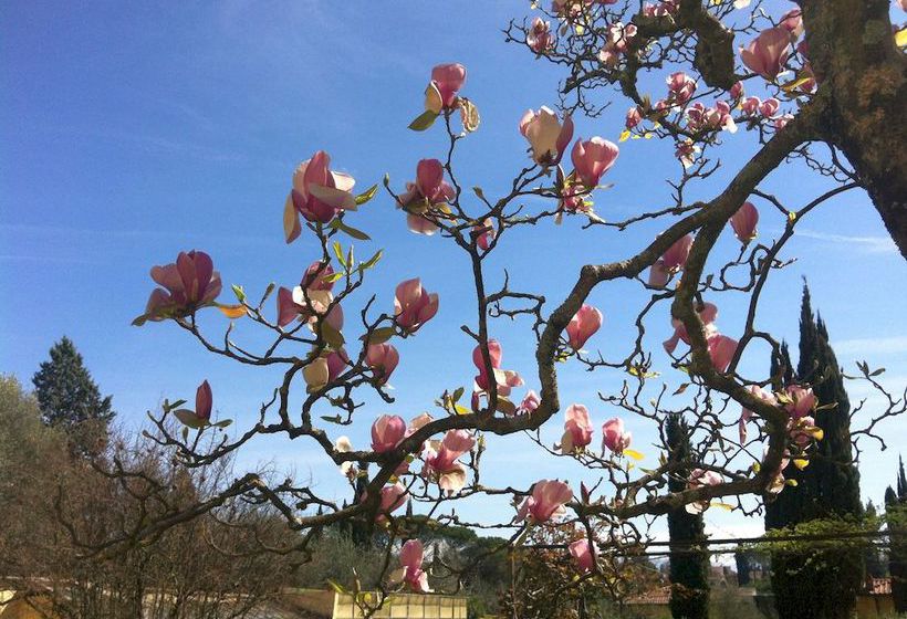 Hotel Relais Villa Ape Rosa  | Firenze | Florence | Italia 6