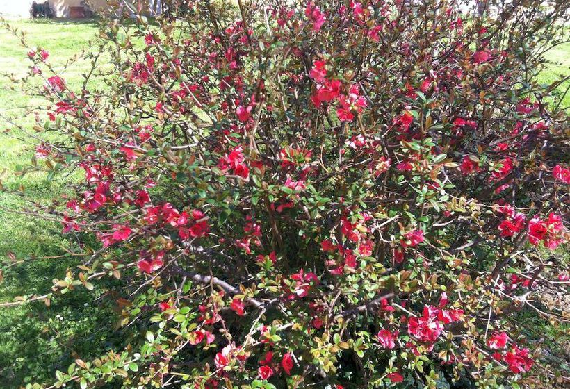 Hotel Relais Villa Ape Rosa  | Firenze | Florence | Italia 8