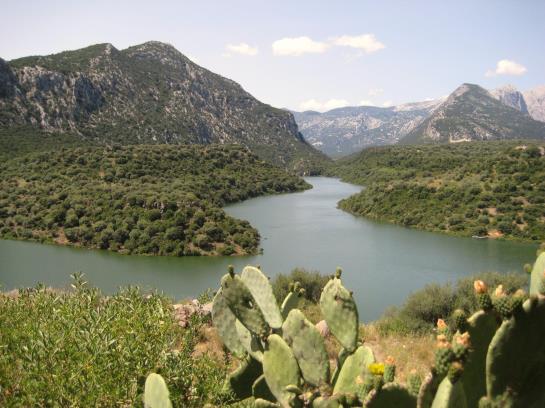 Hotel Cedrino Cerdeña