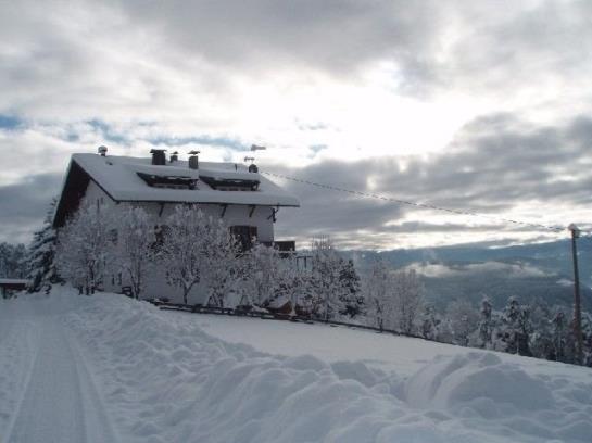 Haus Rottensteiner Pension  | Bolzano | Bolzano | Italia 7