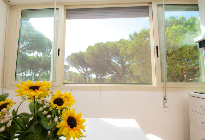 Hotel Mareblue  | Grosseto | Grosseto | Italia 20