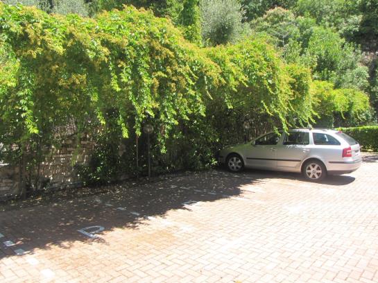 Villa Girasole  | Torri del Benaco | Verona | Italia 1