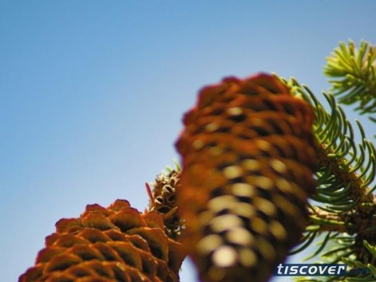 Hotel Edelweiss  | Reschen | Bolzano | Italia 6