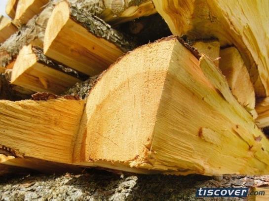 Hotel Edelweiss  | Reschen | Bolzano | Italia 8