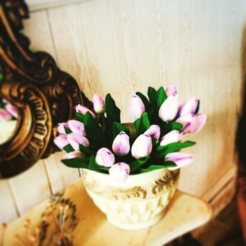 Hotel Alloggiare A Taranto Lamanna  | Taranto | Taranto | Italia 18