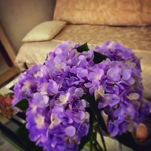 Hotel Alloggiare A Taranto Lamanna  | Taranto | Taranto | Italia 20