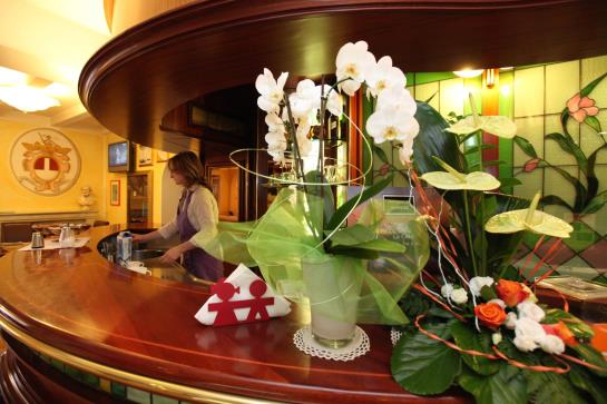 Hotel Ungheria  | Varese | Varese | Italia 10