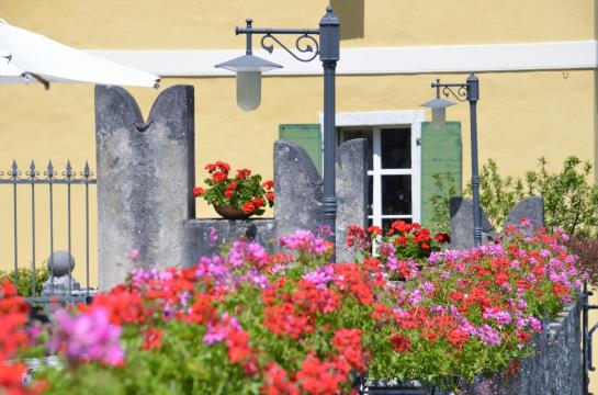 Hotel Garnì San Giorgio Della Scala  | Trento | Trento | Italia 13