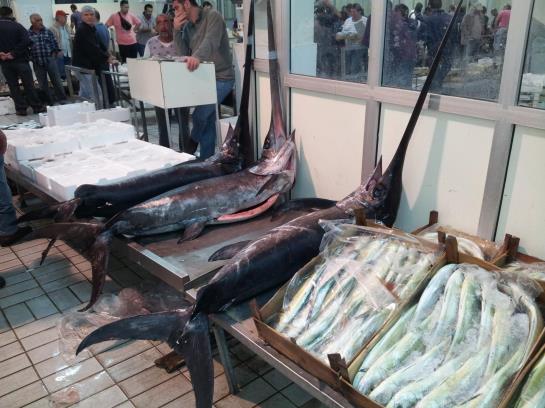 B&b La Caletta  | Santa Flavia | Palermo | Italia 13