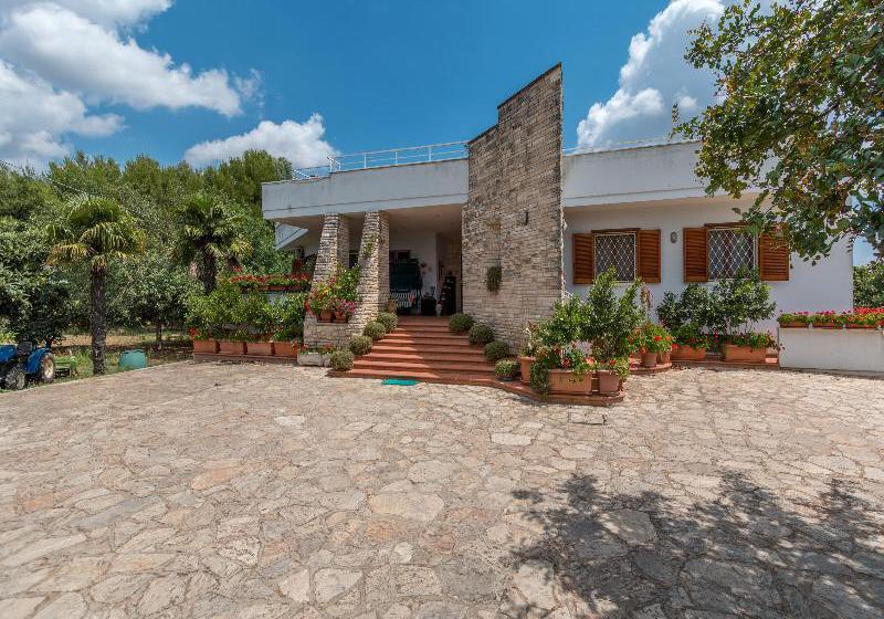 Bed & Breakfast Il Gelso  | Monteroni di Lecce | Lecce | Italia 14