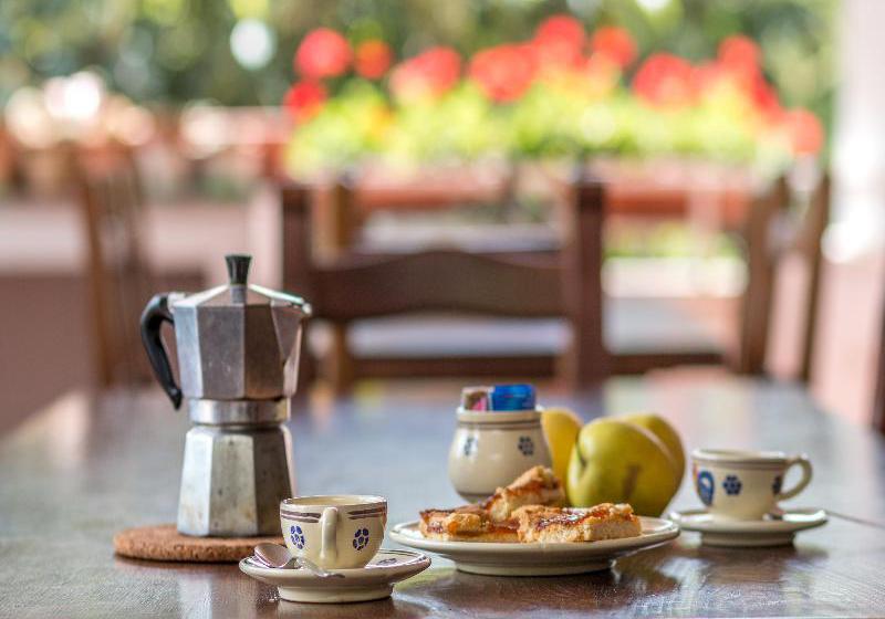 Bed & Breakfast Il Gelso  | Monteroni di Lecce | Lecce | Italia 7