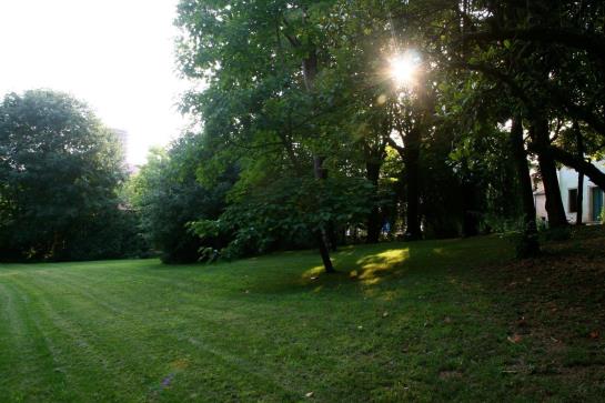 Bauernhof Agriturismo Barchessa  | Este | Padova | Italia 1