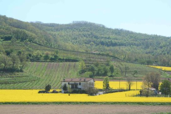 Bauernhof Agriturismo Barchessa  | Este | Padova | Italia 2