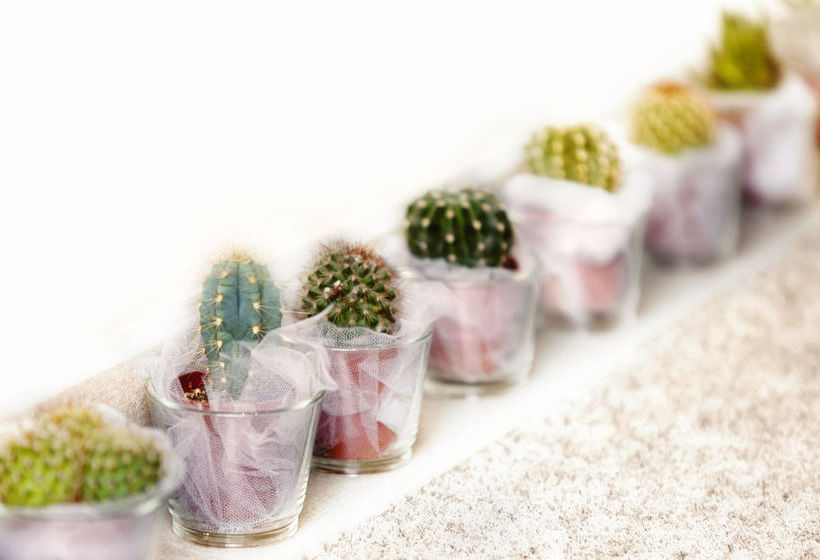 Hotel Cervetta 5  | Modena | Modena | Italia 17