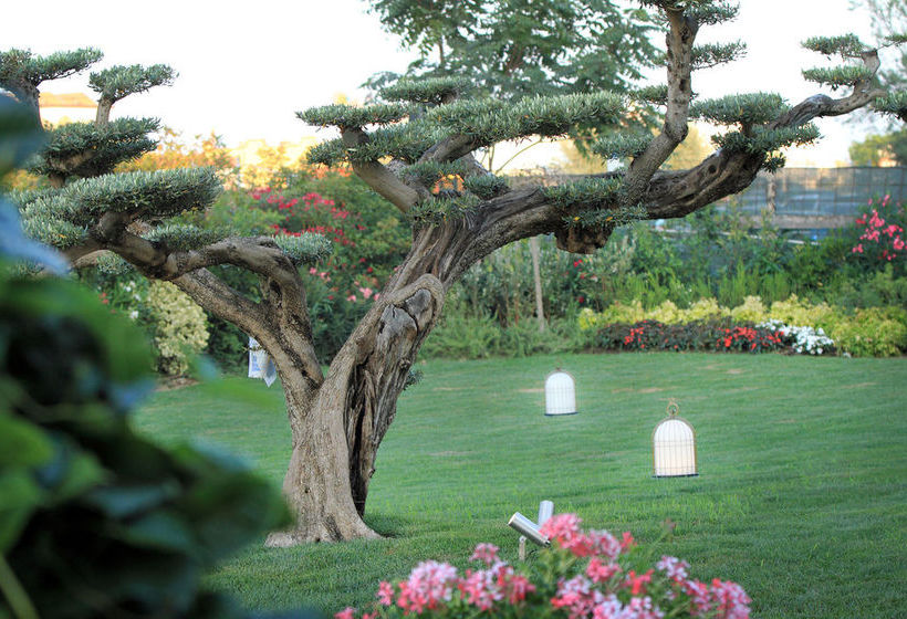 Grand Hotel Da Vinci  | Cesenatico | Forli-Cesena | Italy 19