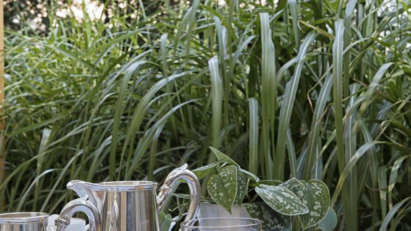 Residenza Art & Design Hotel Napura  | Bolzano | Bolzano | Italia 4