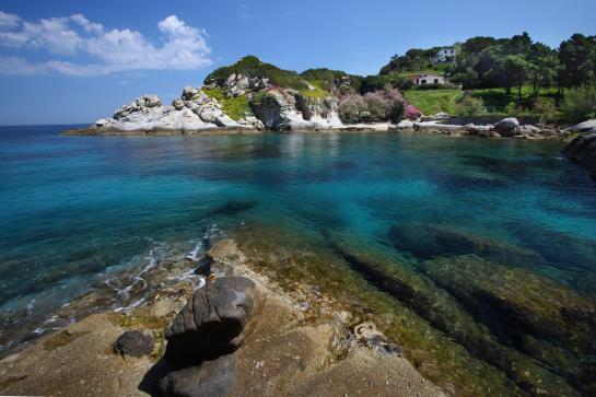 Hotel Ilio  | Sant'Andrea | Livorno | Italia 3