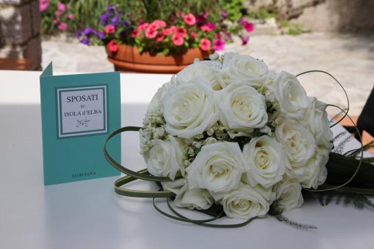 Hotel Ilio  | Sant'Andrea | Livorno | Italia 5