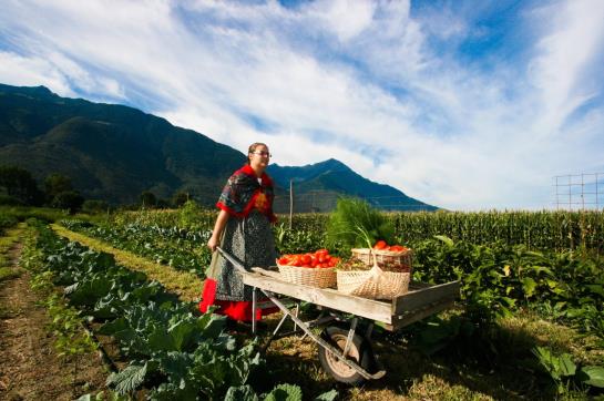 Agriturismo La Fiorida Farm & Beauty  | Mantello | Sondrio | Italy 6