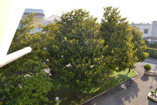 Atlante Residence  | Leporano | Taranto | Italia 2