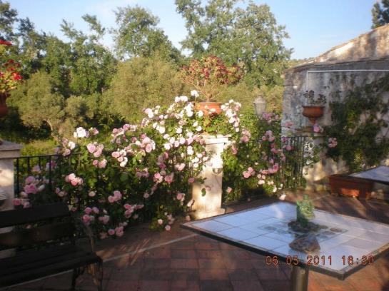 Torre Galli Agriturismo  | Drapia | Vibo Valentia | Italia 16