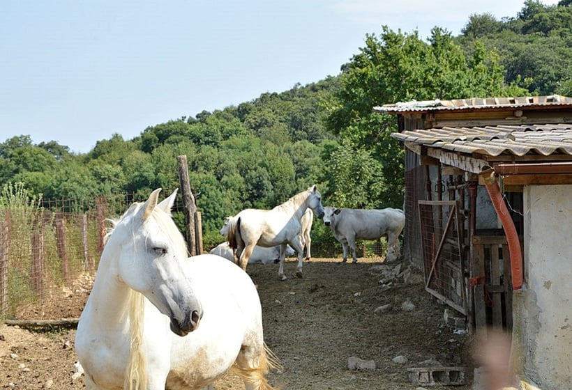 Hotel Cascina Scola  | Rivoli | Torino | Italia 9