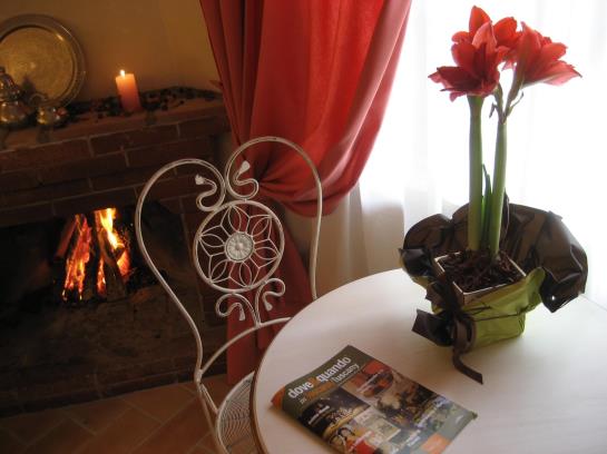 Hotel Bed&Breakfast Il Moscondoro  | Montopoli val d'Arno | Pisa | Italia 10