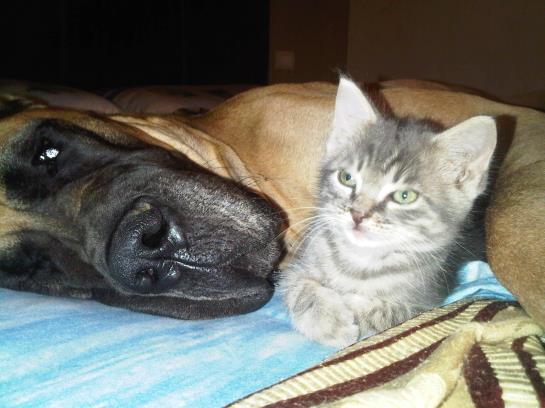 Hotel Bed&Breakfast Il Moscondoro  | Montopoli val d'Arno | Pisa | Italia 18