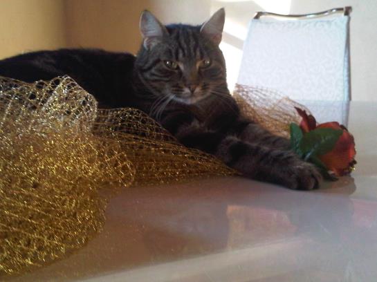 Hotel Bed&Breakfast Il Moscondoro  | Montopoli val d'Arno | Pisa | Italia 19