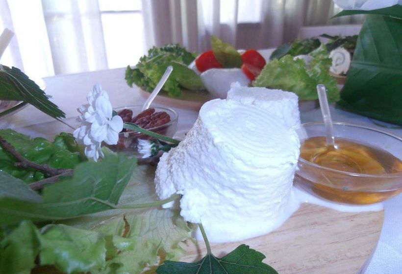 Hotel La Piroga  | Padova | Padova | Italia 11