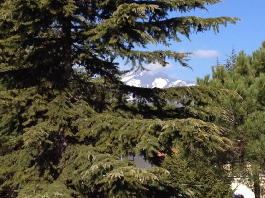 Hotel Ai Pini  | Nicolosi | Catania | Italia 10