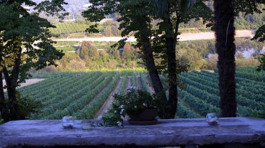 Hotel Il Cardello Locanda  | Casola Valsenio | Ravenna | Italia 3