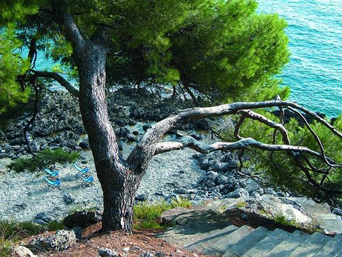 Hotel Villa delle Meraviglie  | Matera | Matera | Italia 1