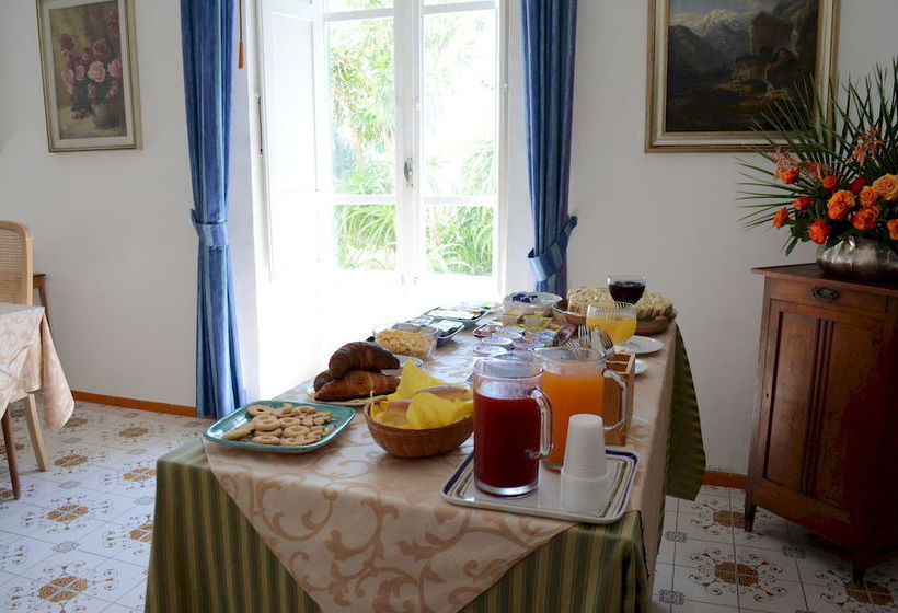 Hotel Villa Panoramica  | Ischia | Napoli | Italia 6