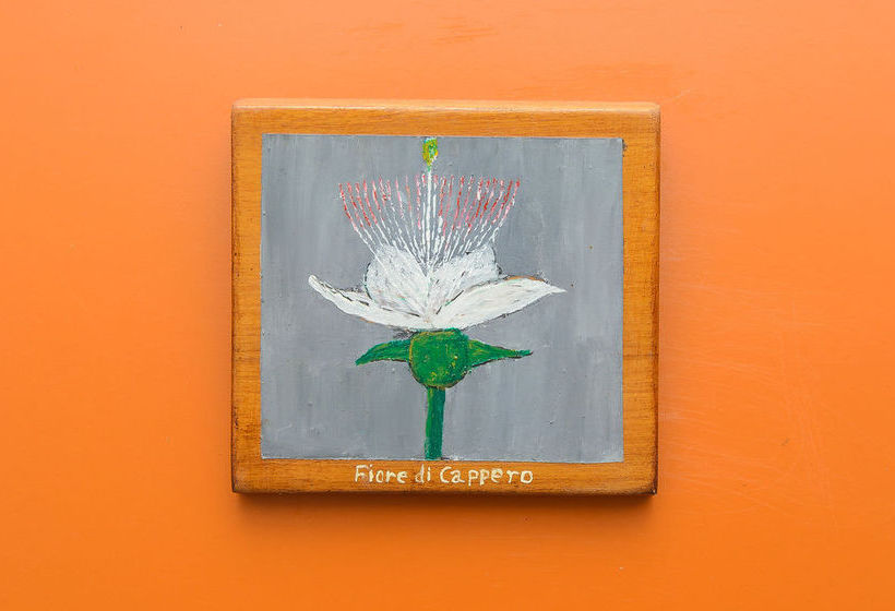 Bed and Breakfast Maison Twentyfive - Guest House  | Ischia | Napoli | Italia 3